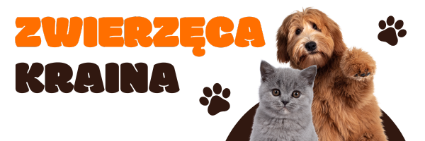 ZwierzęcaKraina