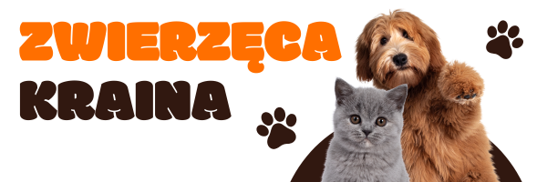 ZwierzęcaKraina